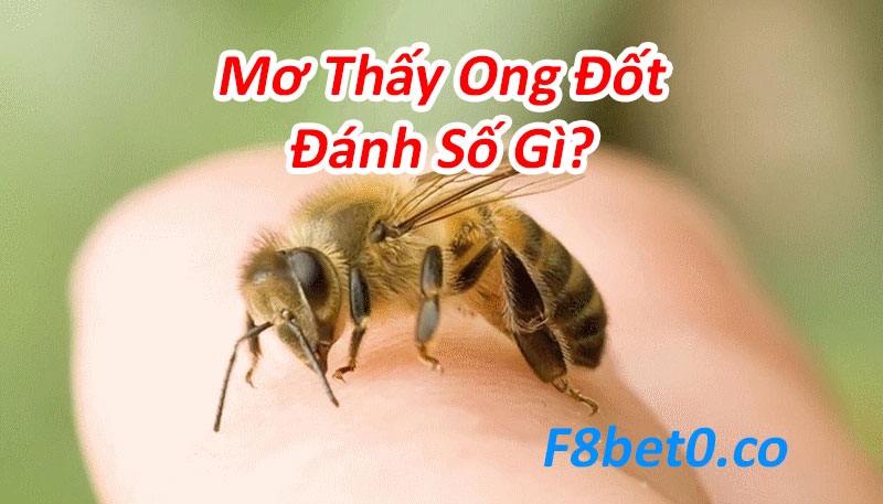 nằm mơ thấy ong đốt đánh con gì?